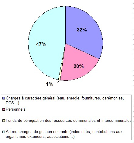 Dépenses fonctionnement 2024.jpg