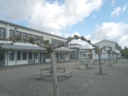 Collège Pierre de Castelnau.jpg