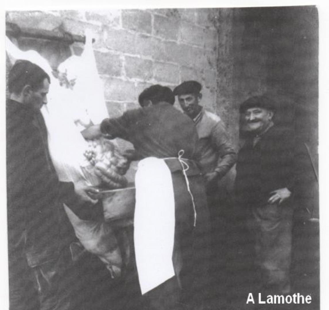 Tue cochon à Lamothe.jpg
