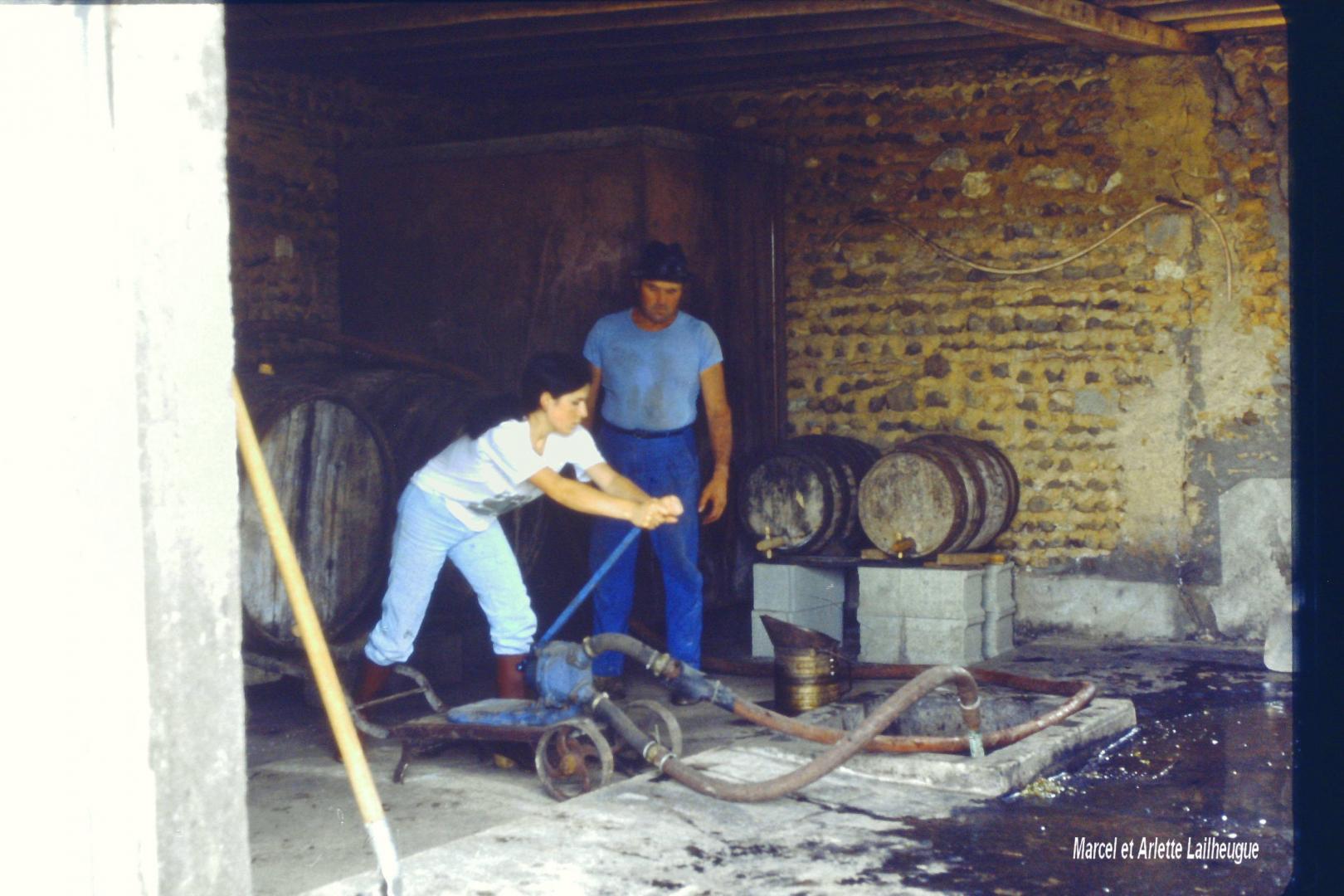 Vendanges Lailheugue 1.jpg