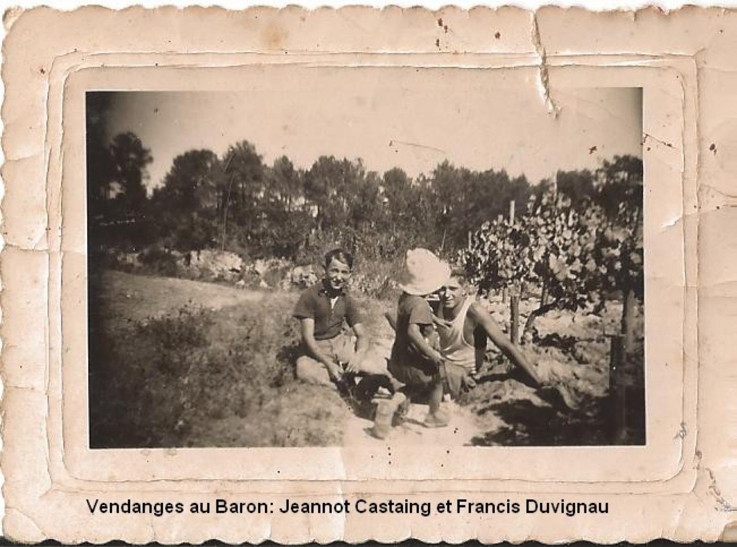 vendanges4.jpg