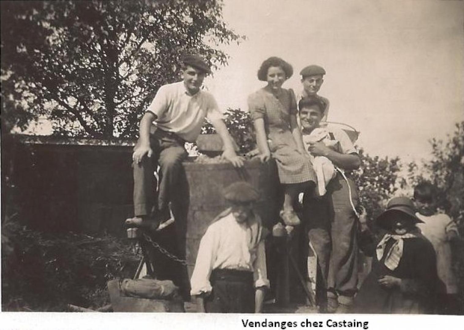 vendanges1.JPG