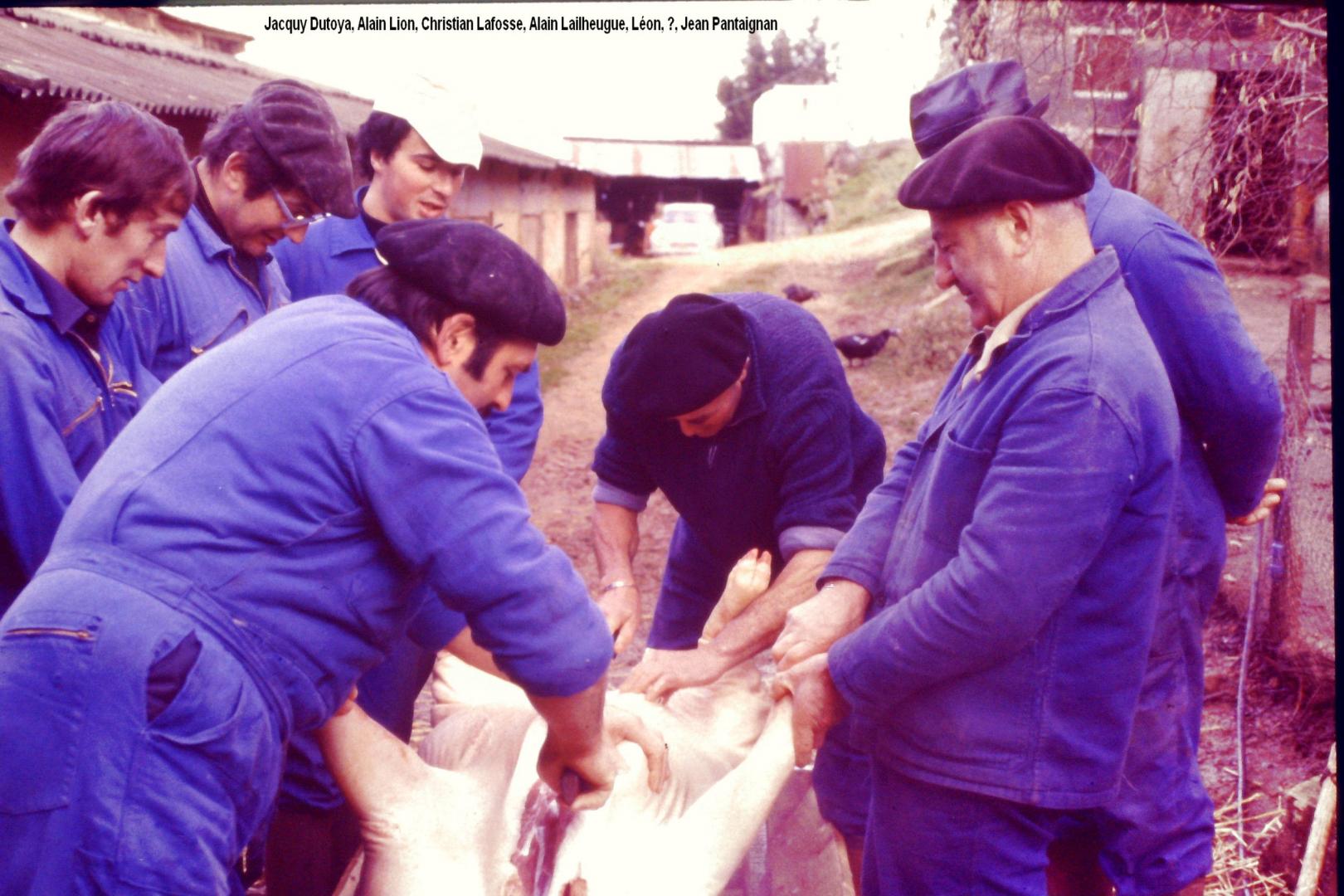 Tue cochon Lailheugue 1.jpg
