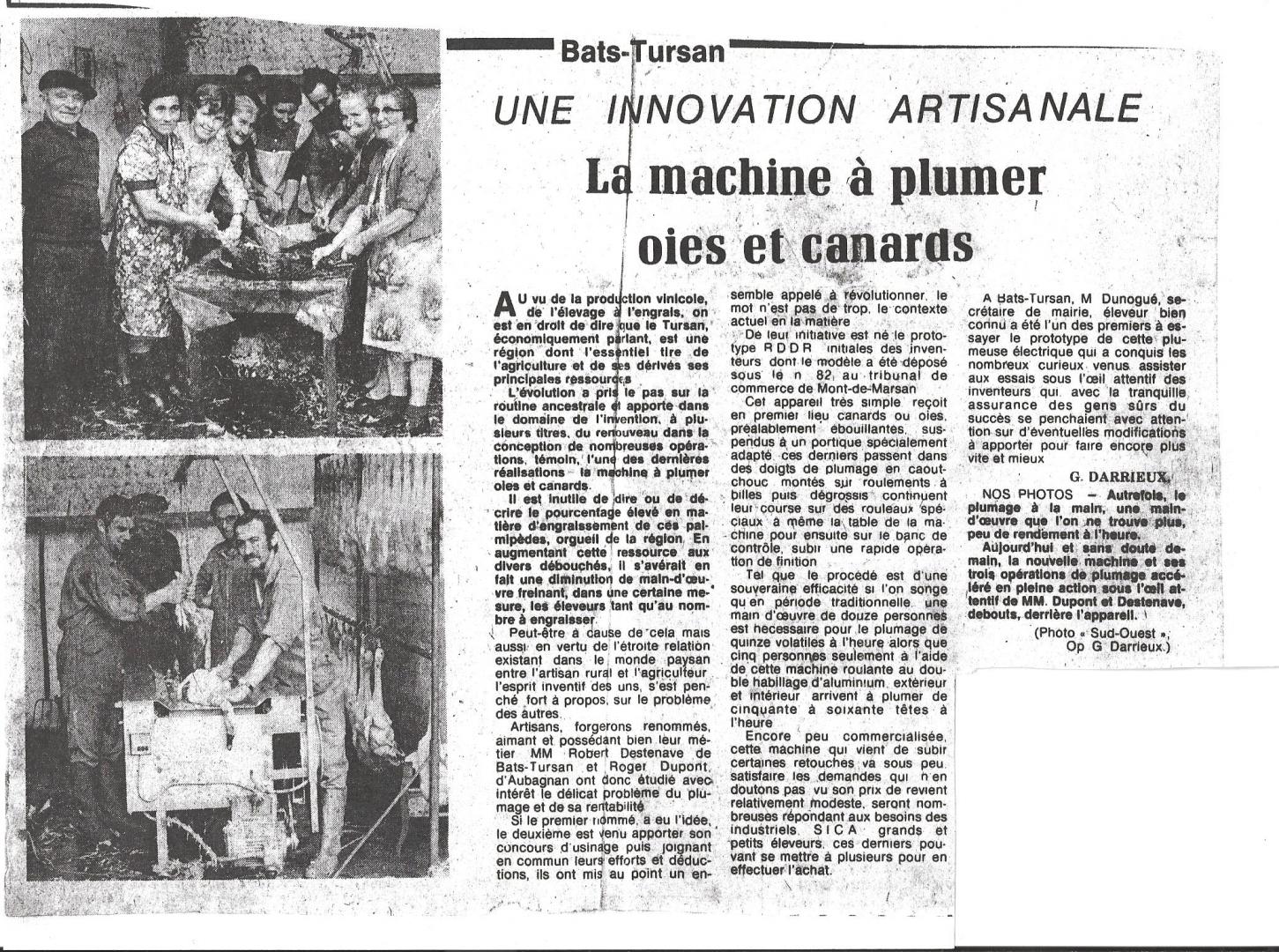 Article SO plumeuse.jpg