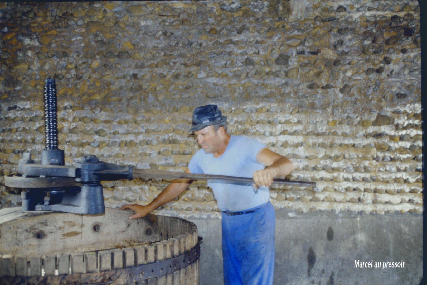 Vendanges Lailheugue 2.jpg