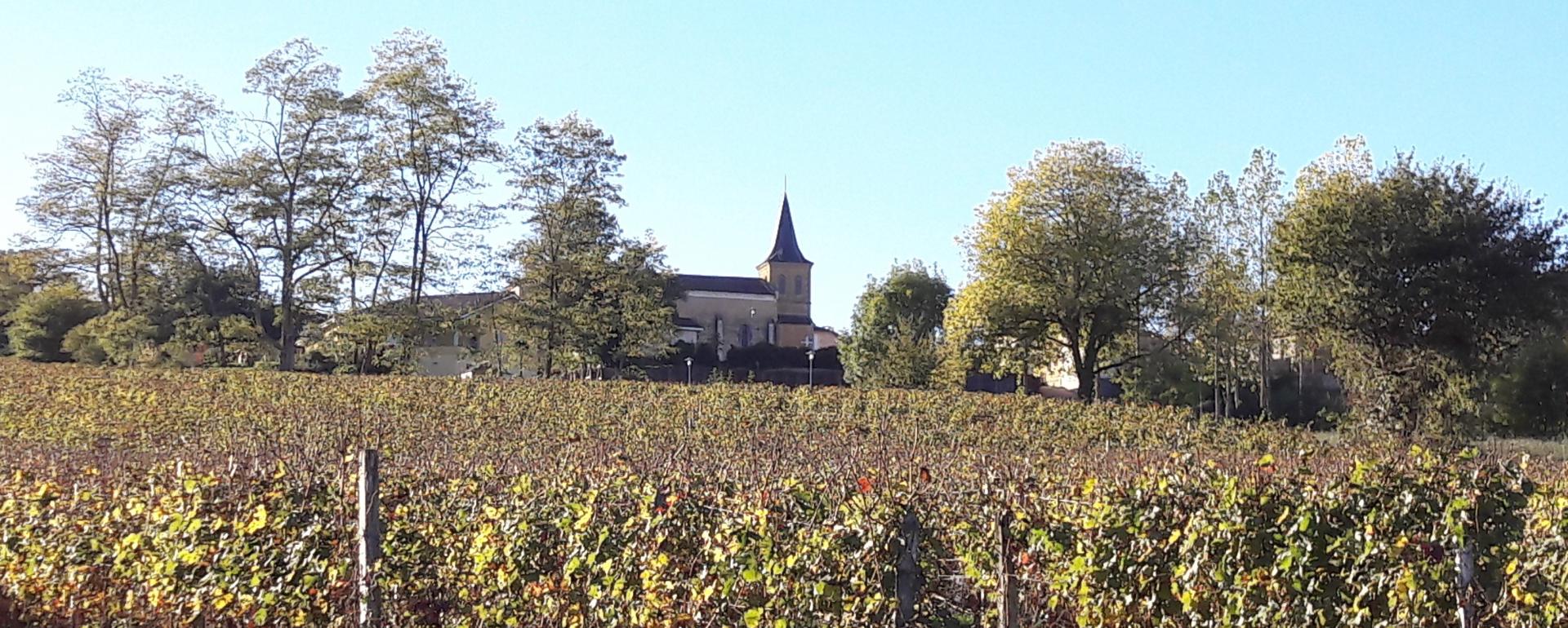 Eglise + vigne.jpg