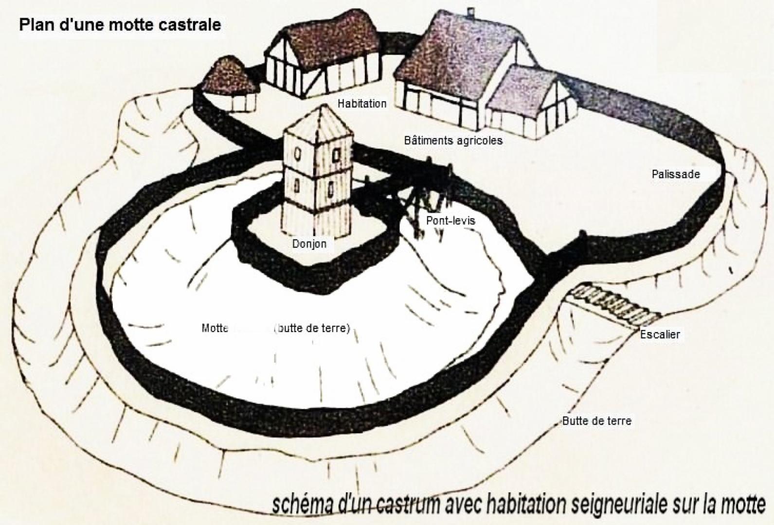 Plan d'une motte castrale.jpg