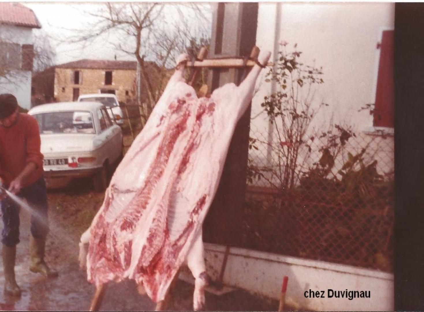 tue cochon Bidalons2.jpg